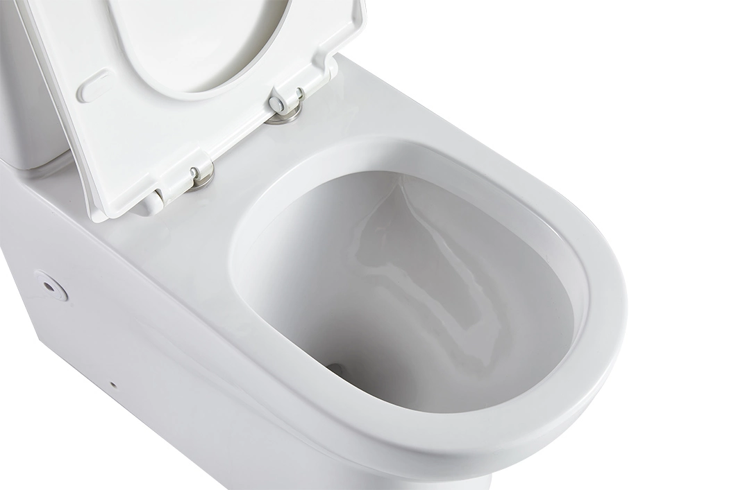 Bl-116-Tpt 4.5/3L Flush 4 Star Back to Wall Toilet Suites with Universal Inlet